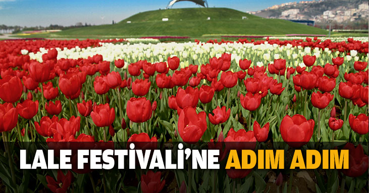 Lale festivaline adım adım!