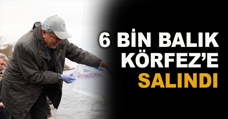 6 bin balık körfeze salındı