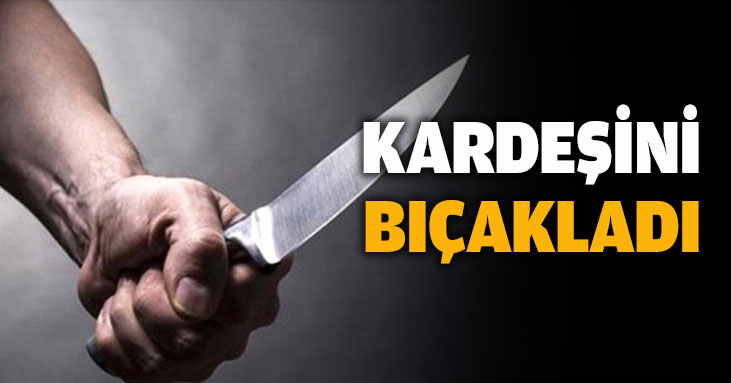 Kardeşini bıçakladı!