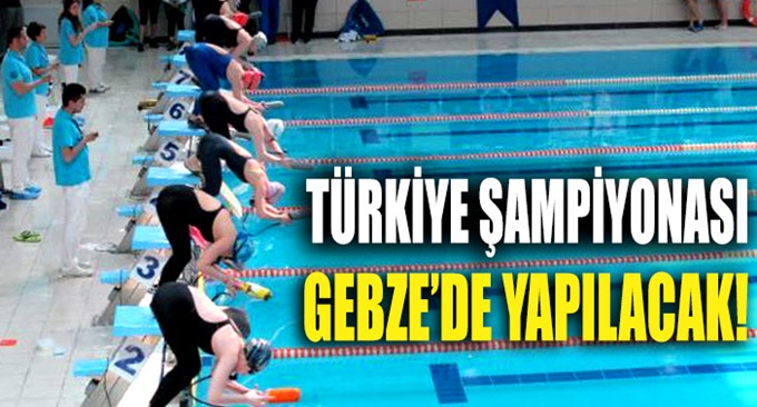 PALETLİ YÜZME ŞAMPİYONASI GEBZE'DE YAPILACAK