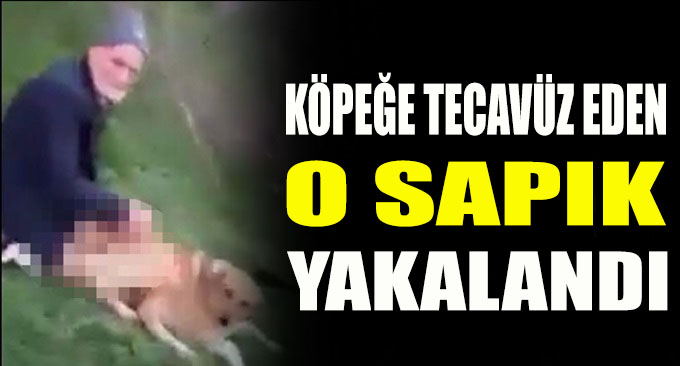 Köpeğe tecavüz ettiği iddia edilen adam gözaltına alındı