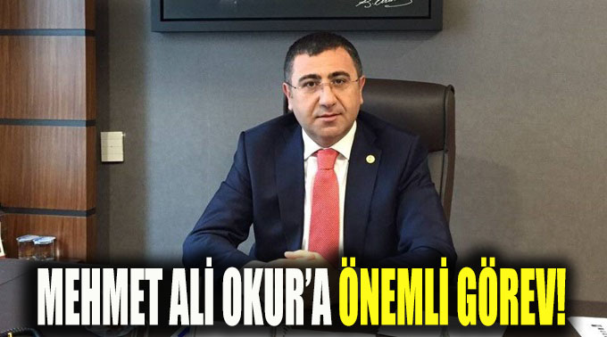 Mehmet Ali Okur’a önemli görev!