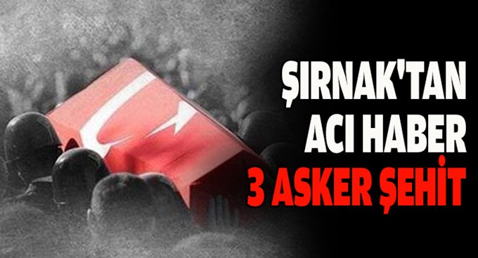 Şırnak'tan acı haber!