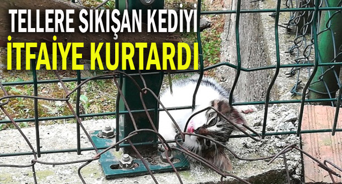 Tellere sıkışan kedinin imdadına itfaiye yetişti