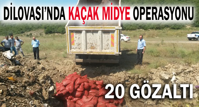 Kaçak midyecilere operasyon; 20 gözaltı