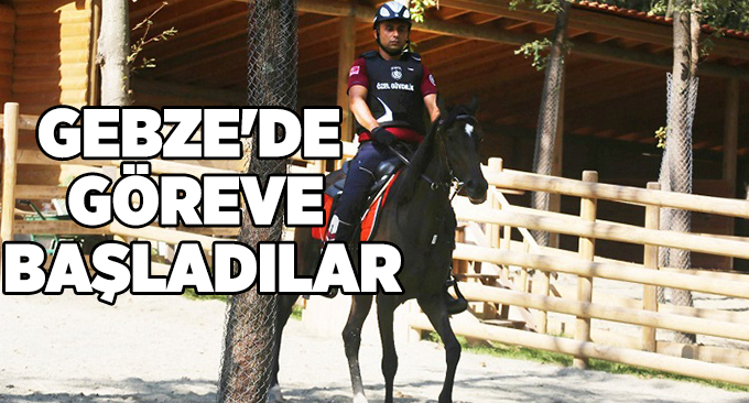 Gebze'de Göreve Başladılar
