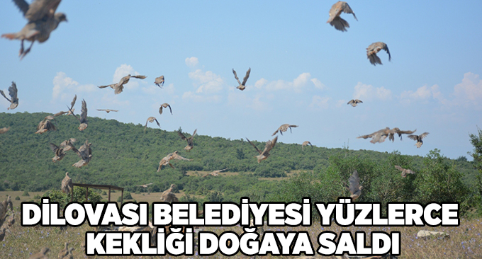 Dilovası Belediyesi Yüzlerce Kekliği Doğaya Saldı