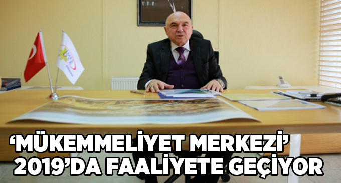 ‘Mükemmeliyet Merkezi’ 2019’da Faaliyete Geçiyor