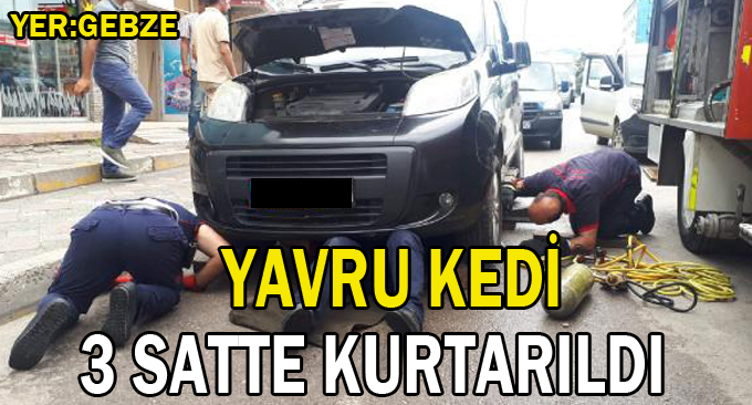 Yavru kedi 3 saatte kurtarıldı