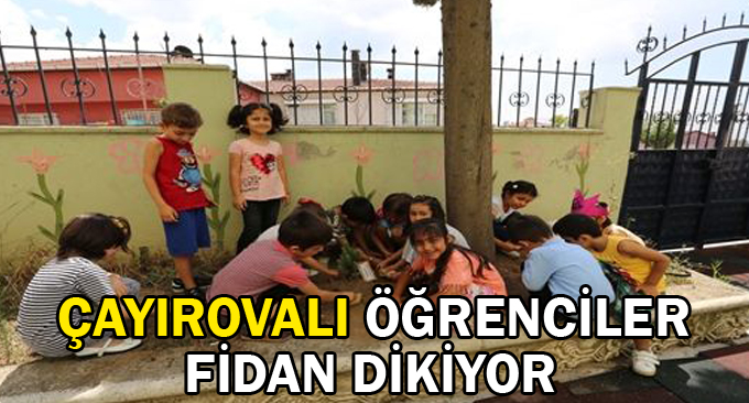Çayırovalı Öğrenciler Fidan Dikiyor