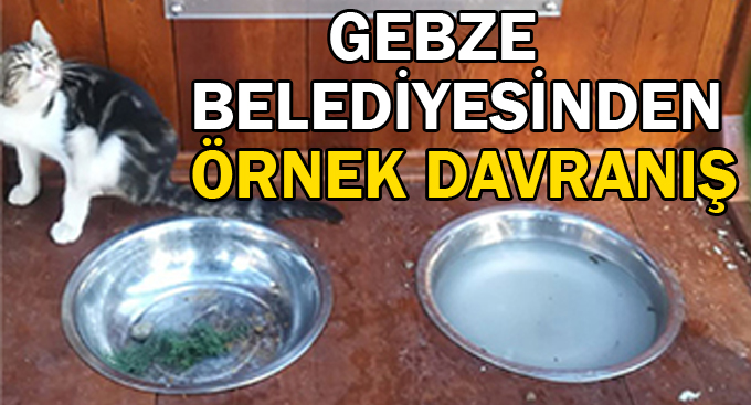 Gebze Belediyesinde örnek davranış