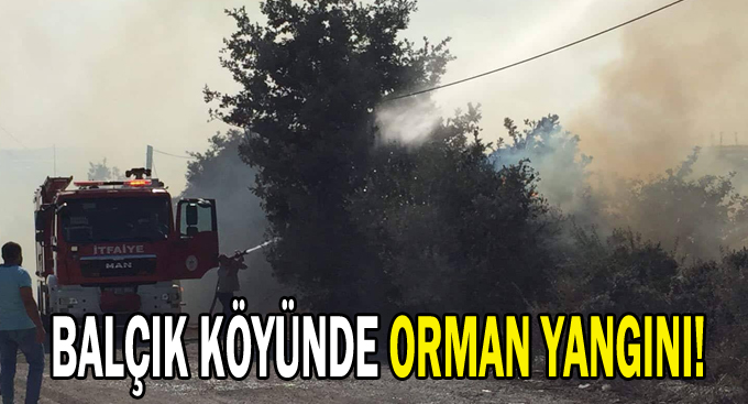 Balçık köyünde orman yangını!
