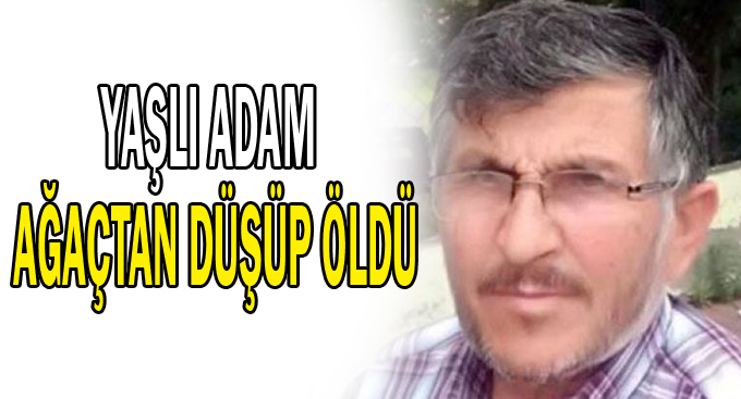 Yaşlı adam ağaçtan düşüp öldü!