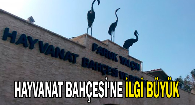 Hayvanat Bahçesi'ne ilgi büyük
