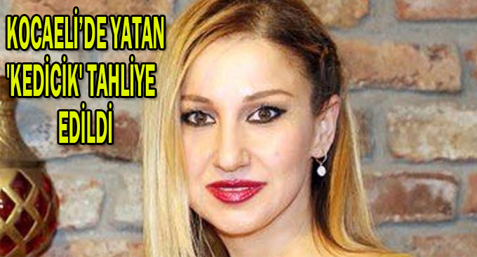 Kocaeli'de yatan 'kedicik' tahliye edildi