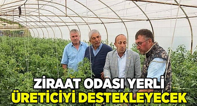 Ziraat odası yerli üreticiyi destekleyecek