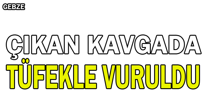 Çıkan kavgada tüfekle vuruldu