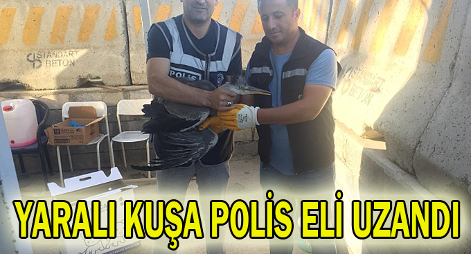 Yaralı kuşa polis eli uzandı