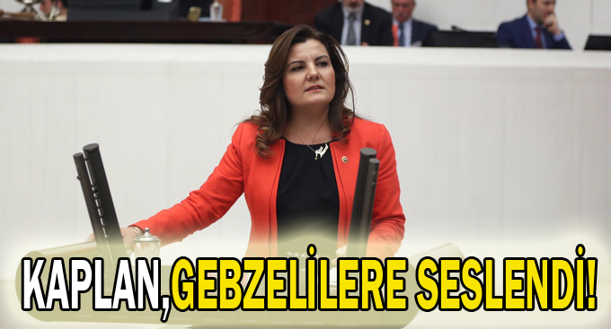 Kaplan,Gebzelilere seslendi!