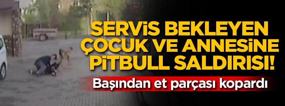 Servis bekleyen çocuk ve annesine pitbull saldırısı!