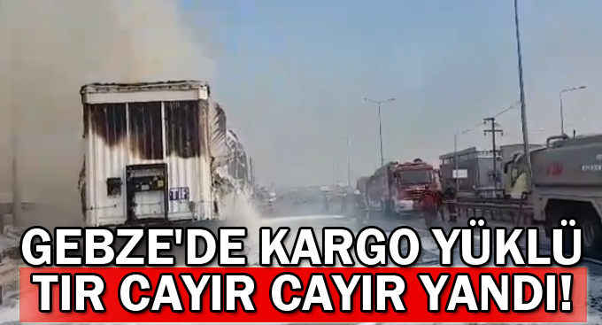 Gebze'de kargo yüklü tır cayır cayır yandı!