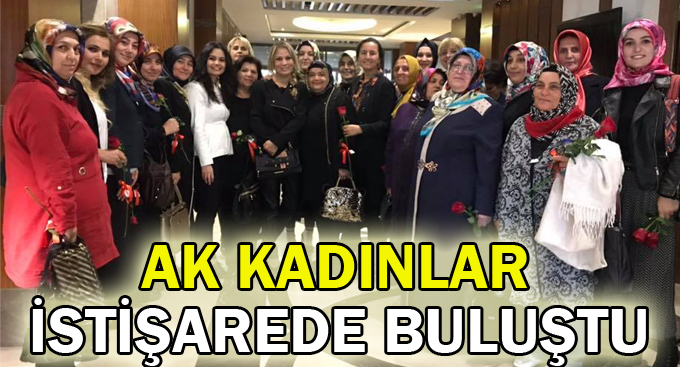 AK Kadınlar istişarede buluştu!