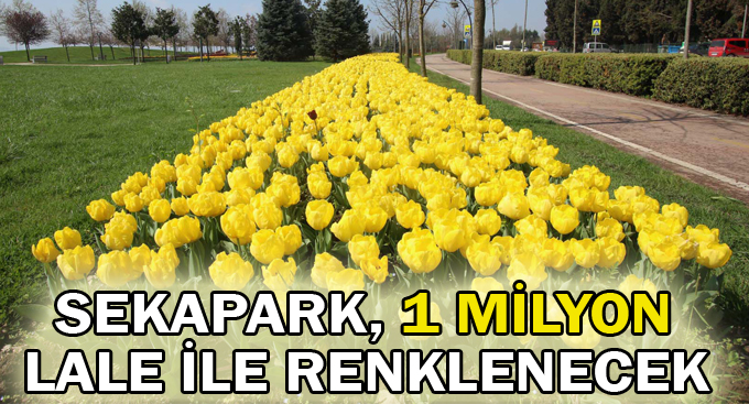 Sekapark, 1 milyon lale ile renklenecek