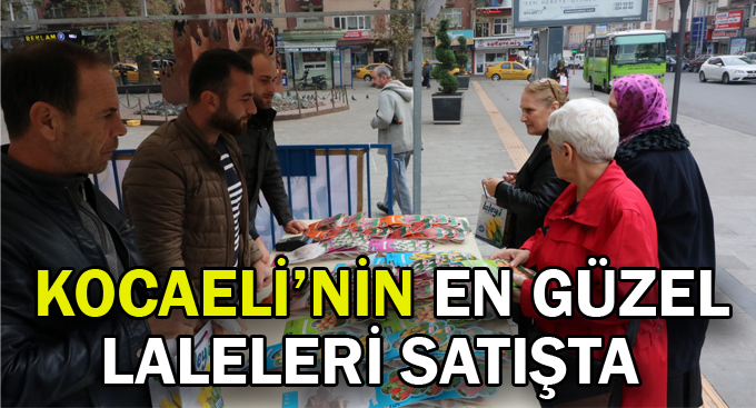 Kocaeli’nin en güzel laleleri satışta