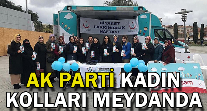 AK Parti kadın kolları meydanda