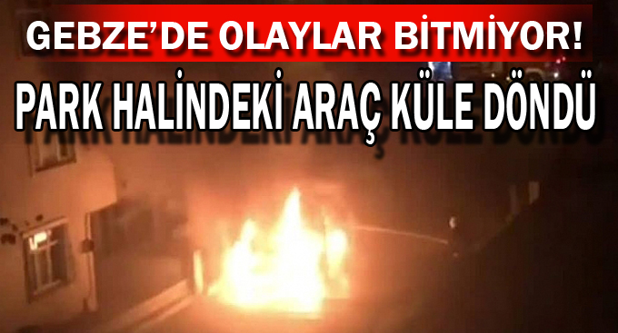 Park halindeki araç küle döndü