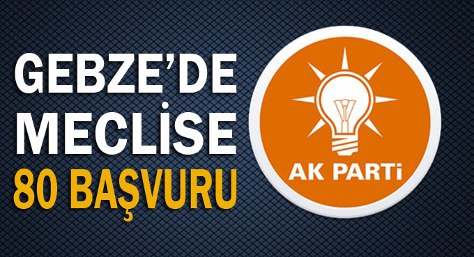 Meclis başvurusu 80’i geçti