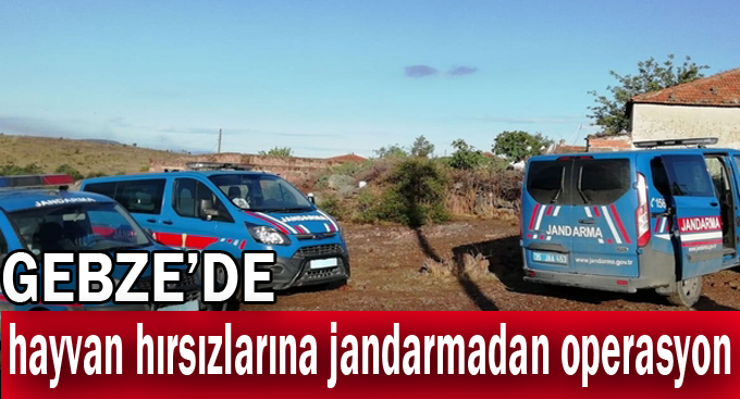 Gebze'de hayvan hırsızlarına jandarmadan operasyon