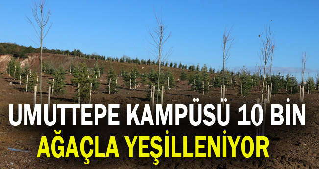 Umuttepe Kampüsü 10 Bin Ağaçla Yeşilleniyor