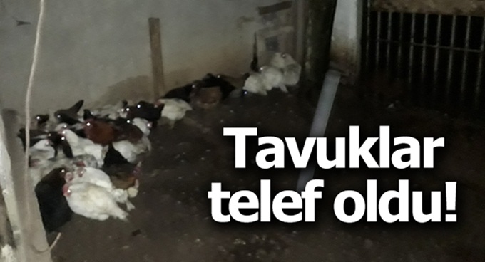 Çiftlikte yangın çıktı