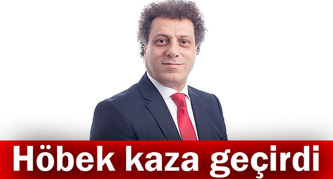 Höbek kaza geçirdi
