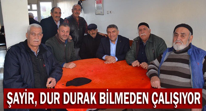 Şayir, dur durak bilmiyor
