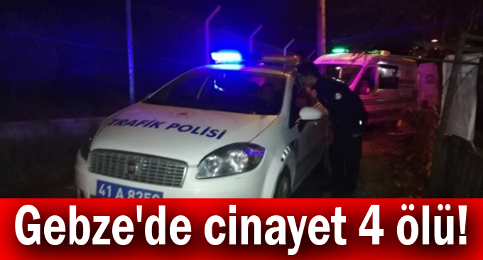 Kayınvalidesi ve kayınbiraderlerini öldürdü!