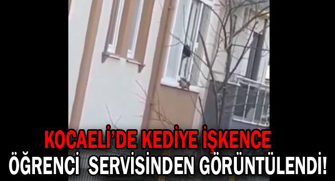 Kocaeli’de kediye işkence öğrenci servisinden görüntülendi!