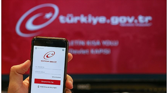 Risk Raporu e-Devlet'ten ücretsiz olarak alınabilecek