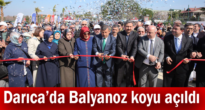 Darıca'da Balyanoz koyu açıldı