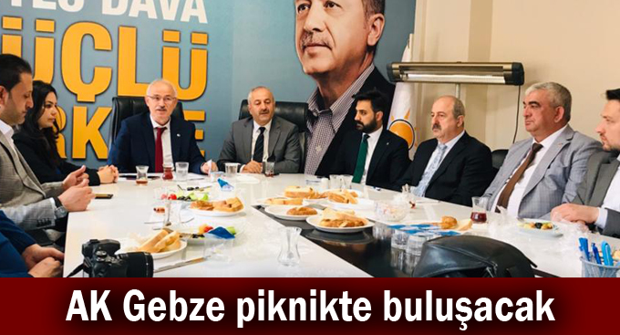 AK Gebze piknikte buluşacak