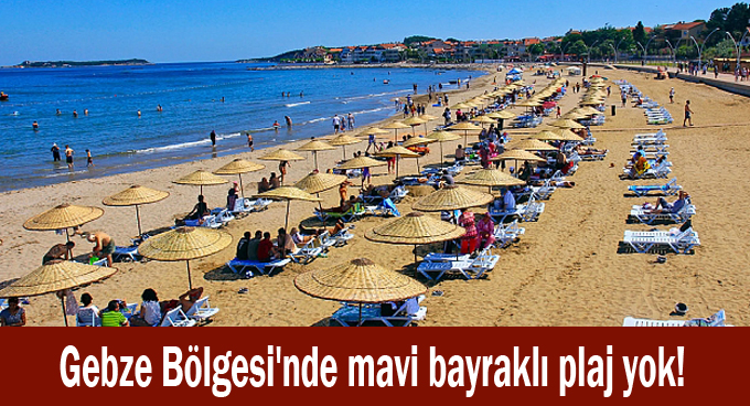 Gebze Bölgesi'nde mavi bayraklı plaj yok!