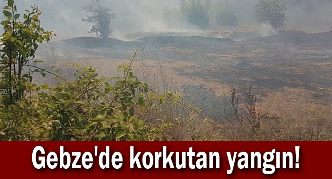 Gebze'de korkutan yangın!