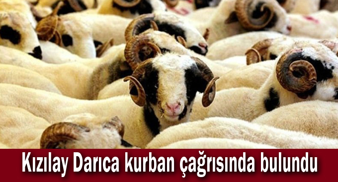 Kızılay Darıca kurban çağrısında bulundu