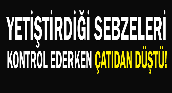 Yetiştirdiği sebzeleri kontrol ederken çatıdan düştü!