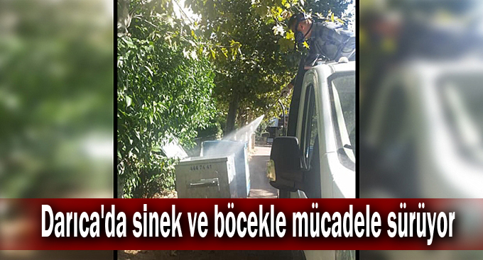 Darıca'da sinek ve böcekle mücadele sürüyor