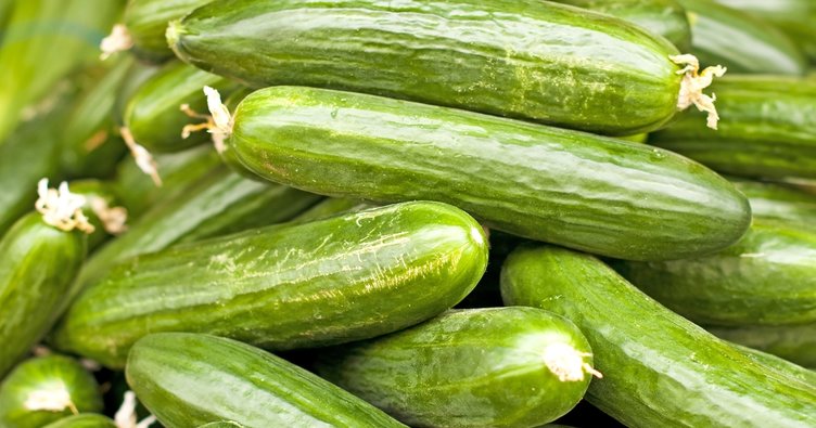 Kocaeli’nin zam şampiyonu…