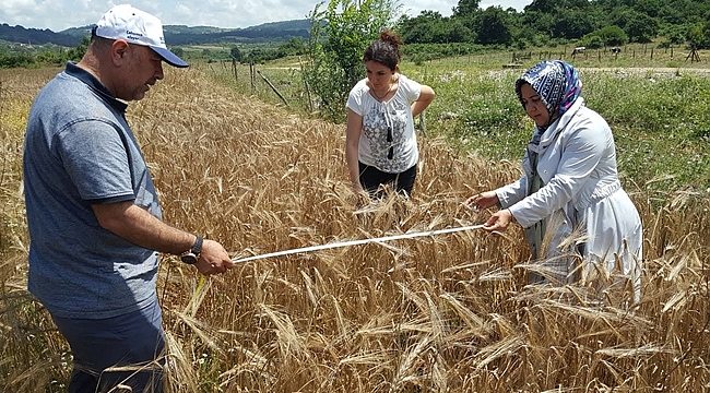 Kocaeli çiftçisi kazanıyor