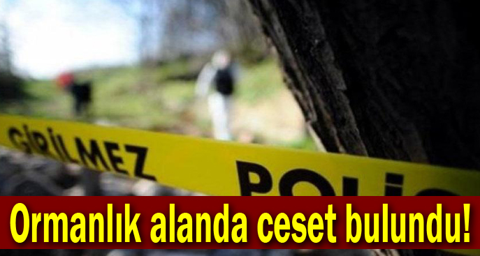 Ormanlık alanda ceset bulundu!