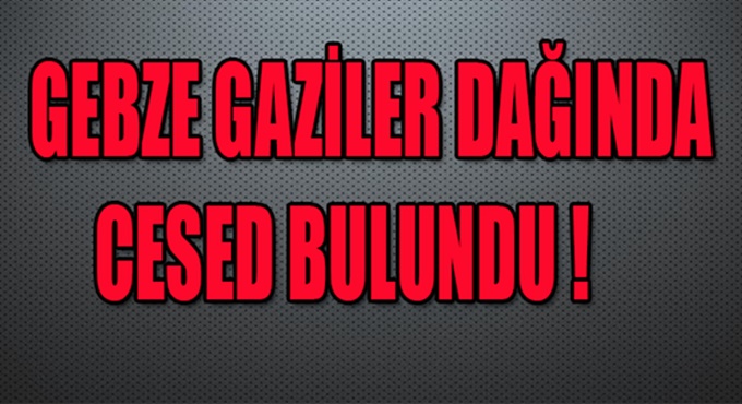 Gebze’de ormanlık alanda ceset bulundu